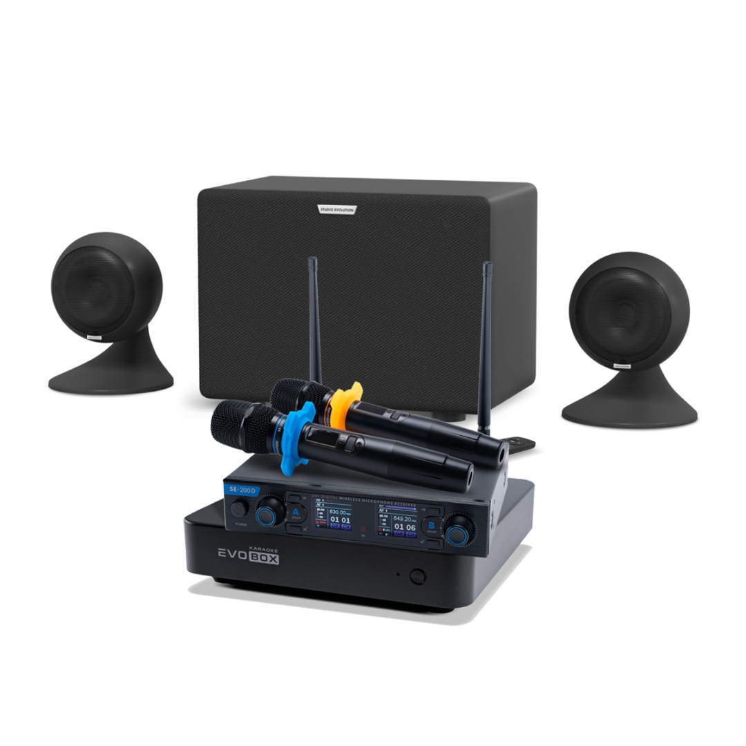 караоке-комплект EVOBOX + EvoSound Sphere 2.1 в Забайкальске