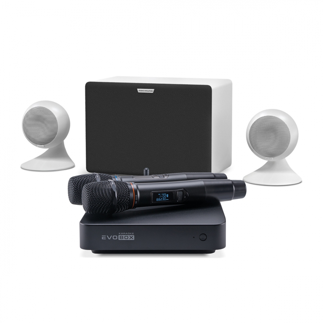 караоке-комплект EVOBOX Classic + EvoSound Sphere 2.1 в Забайкальске
