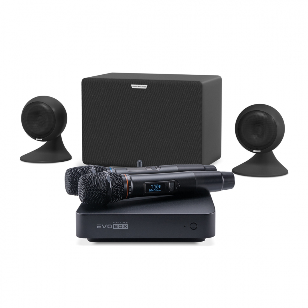 караоке-комплект EVOBOX Plus + EvoSound Sphere 2.1 в Забайкальске
