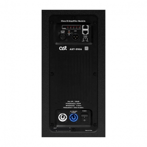 Активная акустическая система AST-310A в Забайкальске
